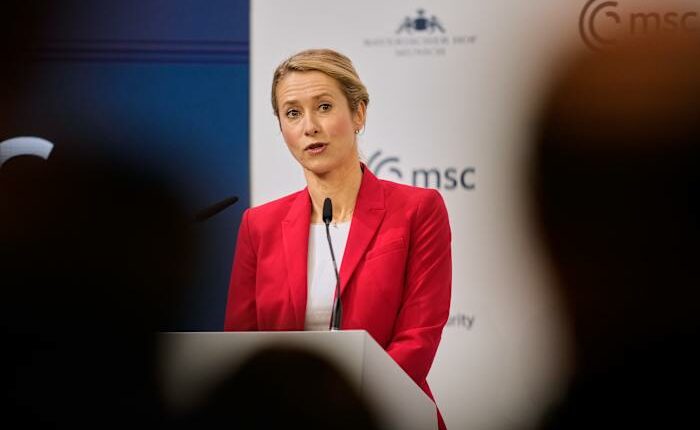 Europeans push back at US over claim they face 'civilizational erasure'