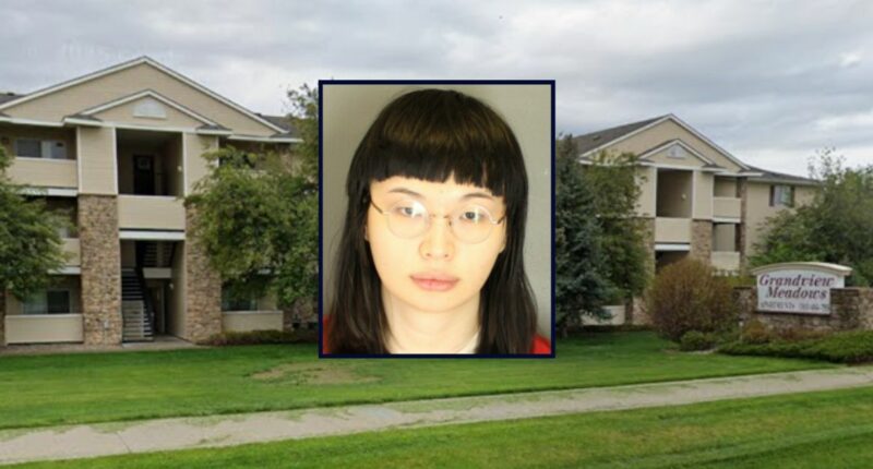 Ex-girlfriend who 'ambushed' boyfriend with 6 bullets 'at point blank range' had planned to attack him 'for weeks' after they broke up