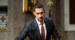 Exclusive— Sen. Cotton: Democrats Oppose SAVE Act to 'Cheat' in Elections