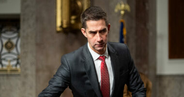 Exclusive— Sen. Cotton: Democrats Oppose SAVE Act to 'Cheat' in Elections