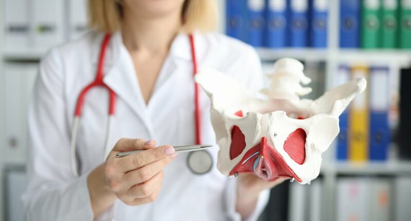 Expert reveals the CORRECT way to strengthen your pelvic floor - and why simple kegel exercises can't always protect you from embarrassment of urinary incontinence