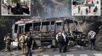 Expert's chilling warning after killing of cartel boss 'El Mencho' sparks violence across Mexico