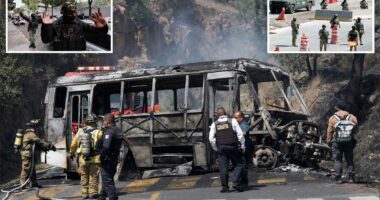 Expert's chilling warning after killing of cartel boss 'El Mencho' sparks violence across Mexico