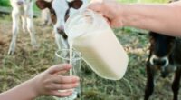 Experts issue fresh warning against drinking raw milk after latest death in US