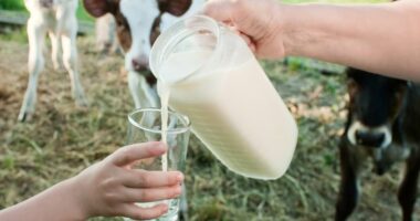 Experts issue fresh warning against drinking raw milk after latest death in US