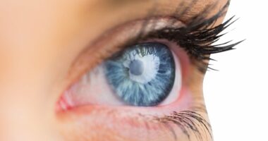 Experts pinpoint bacteria in the eyes that could drive dementia - discovery heralds treatment to PREVENT deadly condition