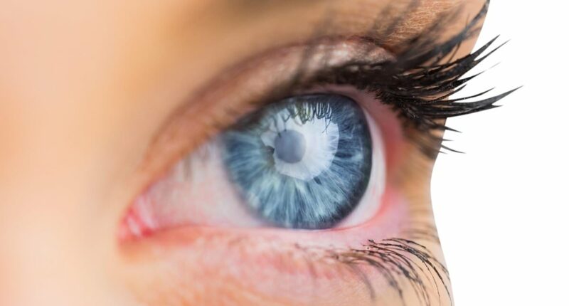 Experts pinpoint bacteria in the eyes that could drive dementia - discovery heralds treatment to PREVENT deadly condition