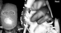 FBI 'has photos of people who may be suspect' in Nancy Guthrie case