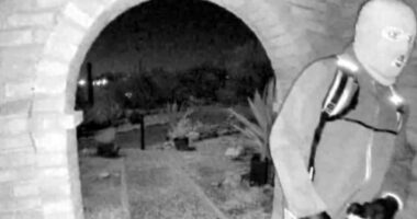 FBI issues new details of suspect in Nancy Guthrie case