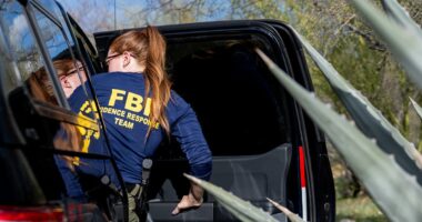 FBI team scours terrain near Nancy Guthrie's home as glove is found