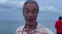Farage accuses UK of trying to thwart aid mission for Chagos Islanders