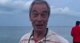Farage accuses UK of trying to thwart aid mission for Chagos Islanders
