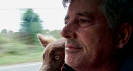 Secret Barn Home Uncovered: Farmer Faces Eviction After Hidden