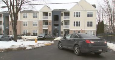 Father Michael Phillips taken into custody after allegedly stabbing infant, tossing him in snow in Coatesville, Pennsylvania