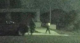 Fears grow for elderly man kidnapped in case of mistaken identity