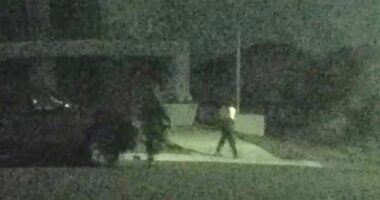 Fears grow for elderly man kidnapped in case of mistaken identity