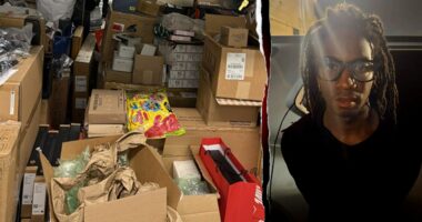 FedEx driver busted after tens of thousands of dollars in undelivered packages found in storage unit: police