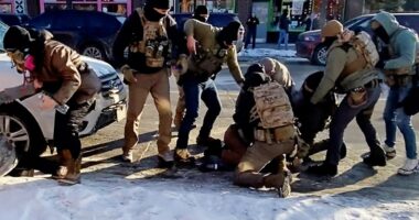 Federal agents who opened fire on Alex Pretti named