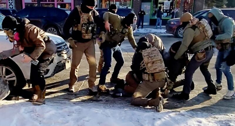 Federal agents who opened fire on Alex Pretti named