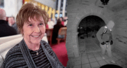 Chinese criminal gang allegedly recruited Navy members for sham marriages and base access