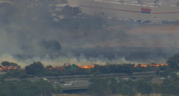 The grassfire is burning beside the Western Ring Road in Ardeer.