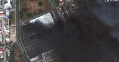 Flight disruptions at Mexican airports after drug lord killed in shootout