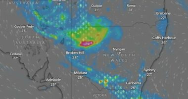 Flood warnings for half of Australia