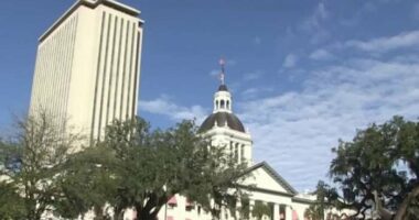 Florida House passes budget, but speaker warns against ‘artificial deadline’