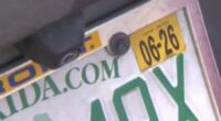 Florida bill to eliminate yellow vehicle registration decals moves forward