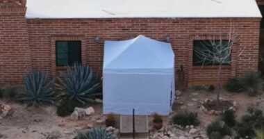 Forensics teams erect white tent outside Nancy Guthrie's home