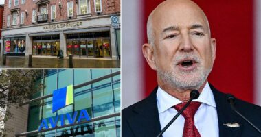 Forget the US Magnificent Seven... shares in Britain's 'Fusty Five' with more than 1,000 years of history are soaring