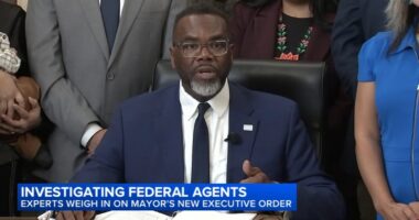 Former Chicago Police Department chief of detectives calls Mayor Brandon Johnson order on feds political theater