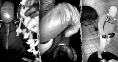 Former FBI agent calls holster setup in Nancy Guthrie case 'incredibly amateur and unsafe'