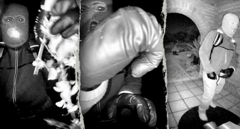 Former FBI agent calls holster setup in Nancy Guthrie case 'incredibly amateur and unsafe'