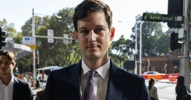 Former MP on trial for alleged child abuse in car park bathroom