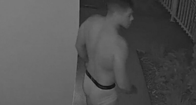 Former NRL player pursues intruders wearing just his undies