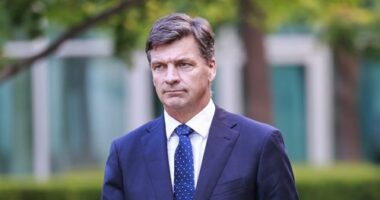 Former PM calls on leadership contender to launch challenge against Ley