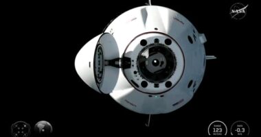 Four new astronauts arrive at the International Space Station to replace NASA’s evacuated crew