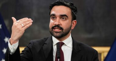 Fox News ‘Antisemitism Exposed’ Newsletter: 'Ludicrous' Mamdani boots Israel-linked drone firm