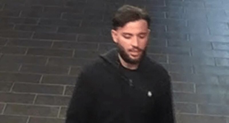 French backpacker accused of rape makes bid for freedom