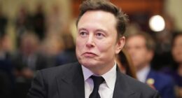 French offices of Elon Musk's X platform raided by cybercrime unit