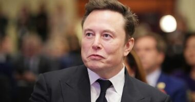 French offices of Elon Musk's X platform raided by cybercrime unit