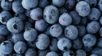 Frozen blueberries recalled over possible Listeria contamination