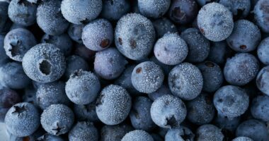Frozen blueberries recalled over possible Listeria contamination