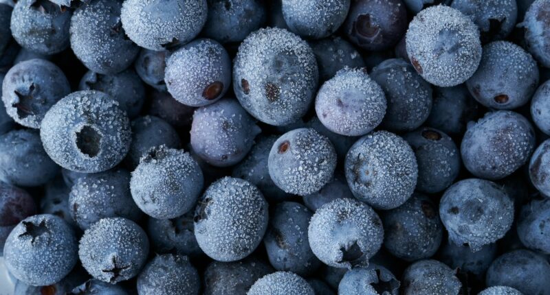 Frozen blueberries recalled over possible Listeria contamination