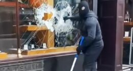 Gang who stole almost £150k in smash-and-grab rampage face jail