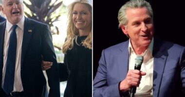 Gavin Newsom blasts Sean Hannity after 'racist' comments debacle