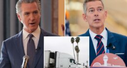 Gavin Newsom caves as California enforces English tests for truck drivers