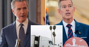 Gavin Newsom caves as California enforces English tests for truck drivers