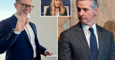 Gavin Newsom staffer has meltdown over reporter's question: 'F--k off'